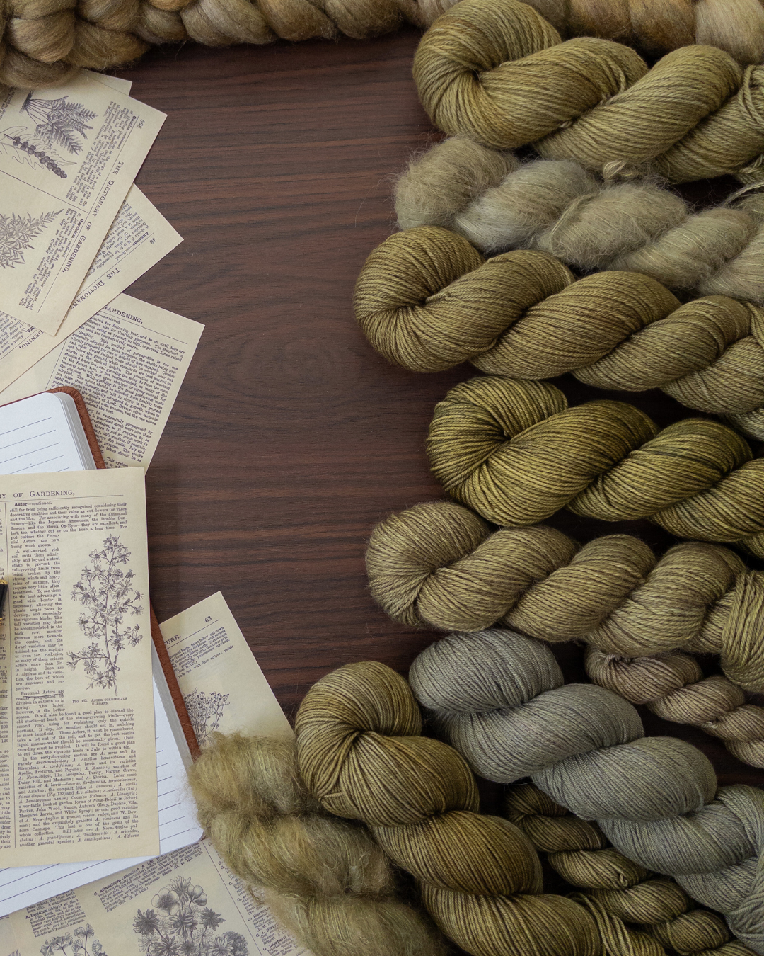 Quiet Apothecary // PRE-ORDER