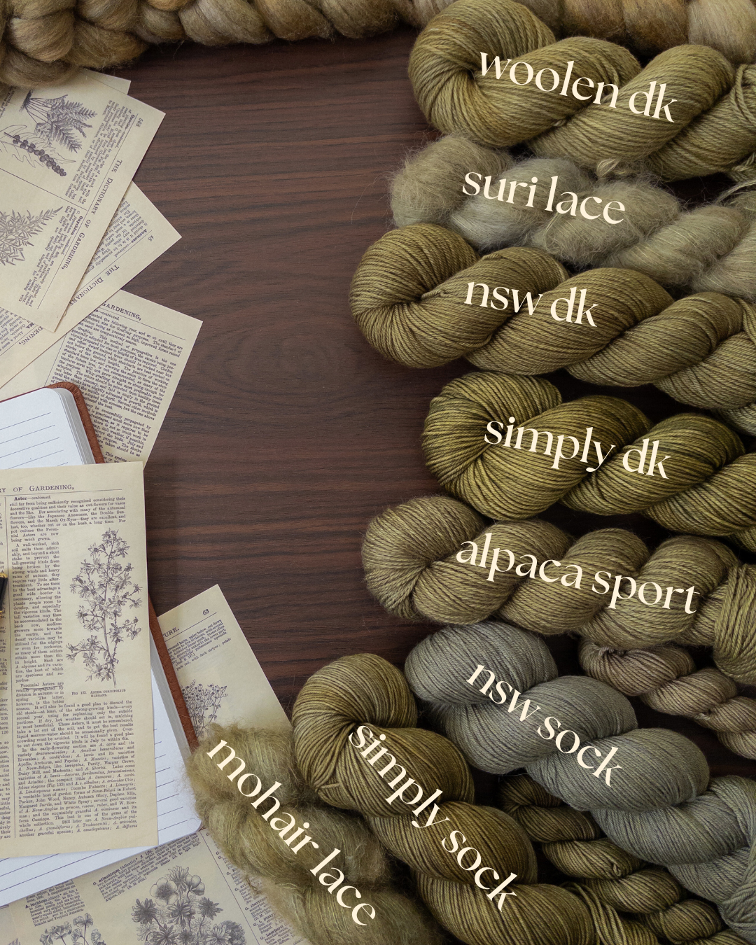 Quiet Apothecary // PRE-ORDER